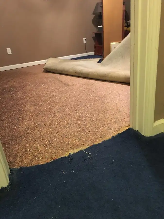 Carpet pad removal revealing water damage during Water Mitigation Services in Madisonville
