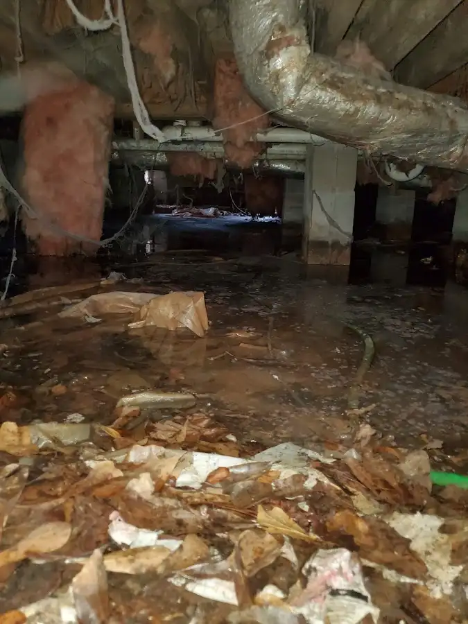 Crawl space flood assessment for Commercial Water Damage Restoration in Madisonville