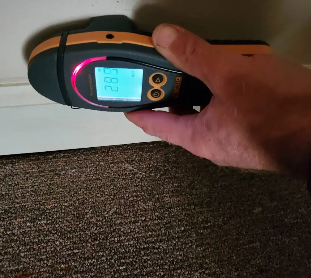 Moisture detection at baseboard during Burst Pipe Cleanup in Madisonville
